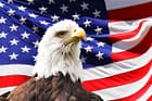 eagle, america, flag-219679.jpg