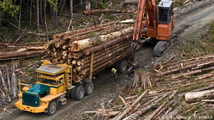 Logging truck